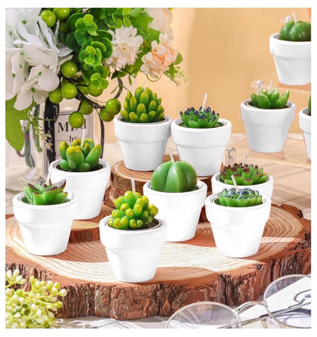 Plant Lover Gift Bag | Garden Theme, Plant Mom Dad Present