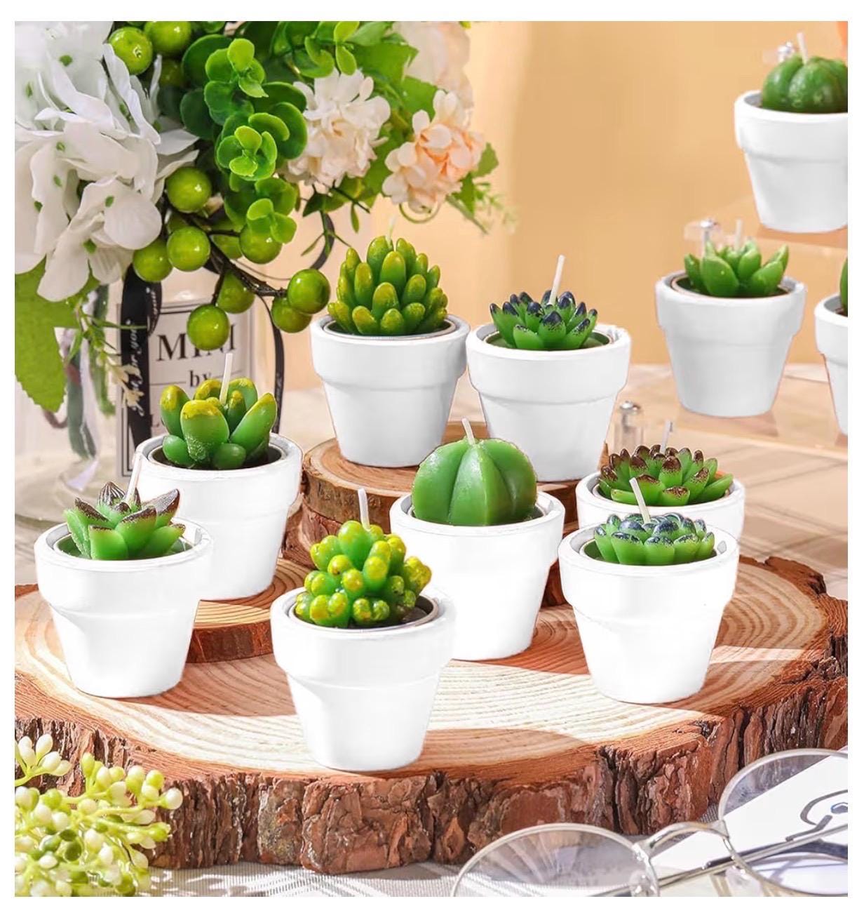 Plant Lover Gift Bag | Garden Theme, Plant Mom Dad Present