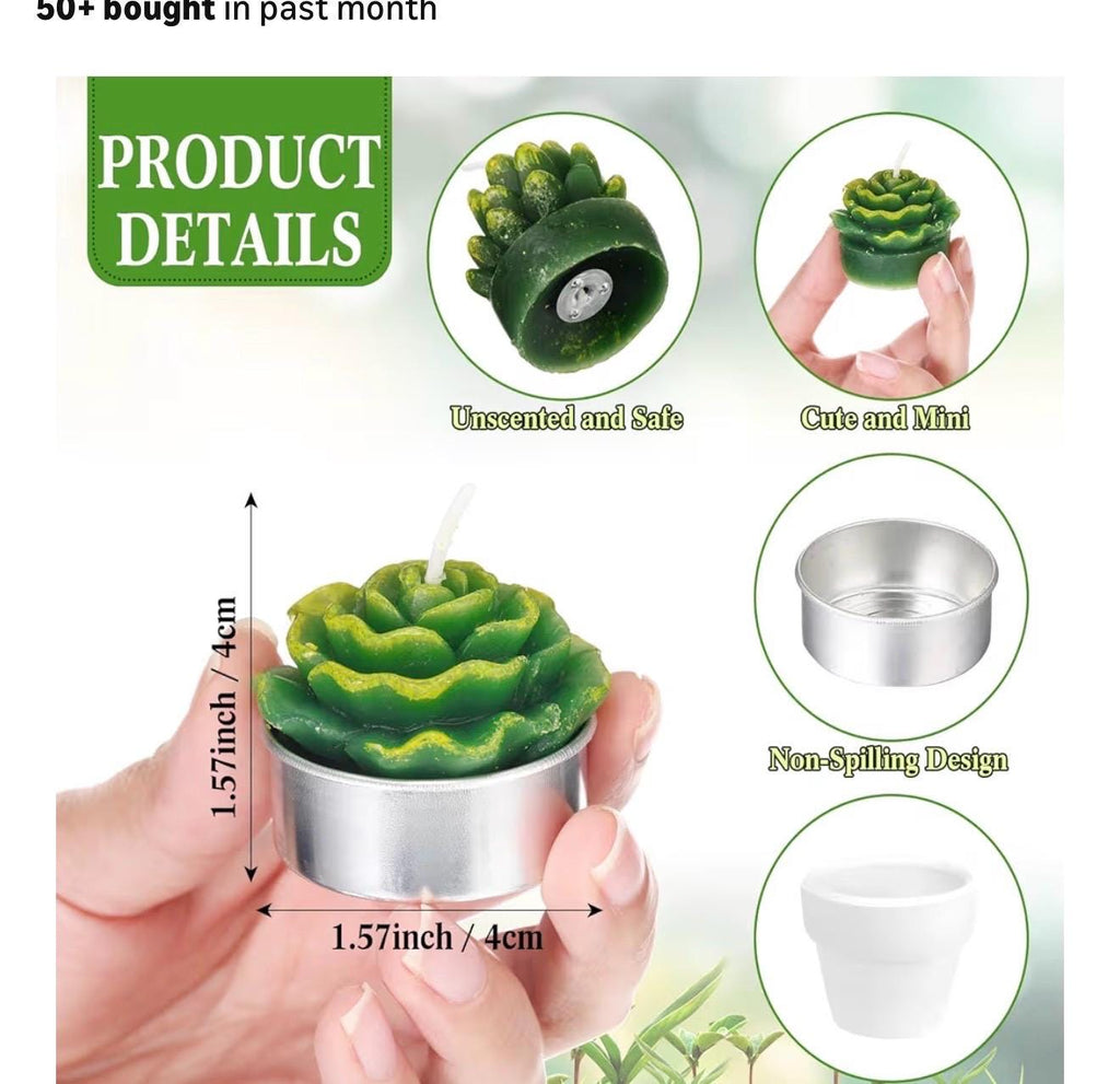 Plant Lover Gift Bag | Garden Theme, Plant Mom Dad Present